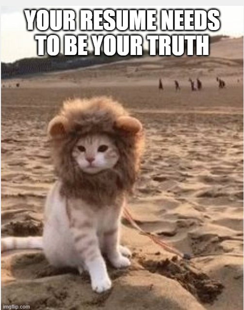 Your resume needs to be your truth - photo of a cat 